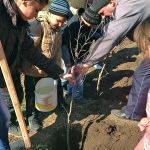 village of Zirnesti, region of Cahul