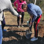 village of Zirnesti, region of Cahul