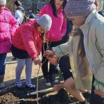 village of Zirnesti, region of Cahul
