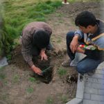 village of Mingir, region of Hincesti