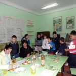 Chetrosu village, Drochia rayon