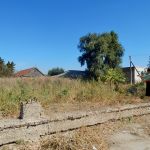 village of Ferapontievca, region of Comrat