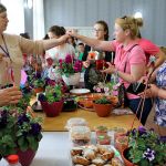 Alexanderfeld, Cahul